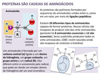 PROTEÍNAS SÃO CADEIAS DE AMINOÁCIDOS
  Aminoácido                    As proteínas são polímeros formados por
                                sequencias de aminoácidos unidos entre si, como
                                em um colar, por meio de ligações peptídicas.

                                Existem 20 diferentes tipos de aminoácidos
              α
                                capazes de formar proteínas. Nossas células são
                                incapazes de produzir oito dos vinte aminoácidos
                                (portanto há 8 aminoácidos essenciais e 12 não
  Grupo                         essenciais). Seres autótrofos produzem todos os
  amina              Grupo      vinte aminoácidos. (OBS: recém nascidos ainda
  (NH2)            carboxila
                                são incapases de sintetizar a histidina)
                    (COOH)

Um aminoácido é formado por um
carbono central (α) ligado a um átomo
de hidrogênio, um grupo carboxila, um
grupo amina e um radical (R). Eles
diferem entre si unicamente pelo radical,
que pode ser desde um simples átomo
de hidrogênio até um anel aromático.
 