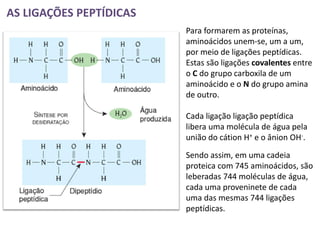 AS LIGAÇÕES PEPTÍDICAS
                         Para formarem as proteínas,
                         aminoácidos unem-se, um a um,
                         por meio de ligações peptídicas.
                         Estas são ligações covalentes entre
                         o C do grupo carboxila de um
                         aminoácido e o N do grupo amina
                         de outro.

                         Cada ligação ligação peptídica
                         libera uma molécula de água pela
                         união do cátion H+ e o ânion OH-.
                         Sendo assim, em uma cadeia
                         proteica com 745 aminoácidos, são
                         leberadas 744 moléculas de água,
                         cada uma proveninete de cada
                         uma das mesmas 744 ligações
                         peptídicas.
 