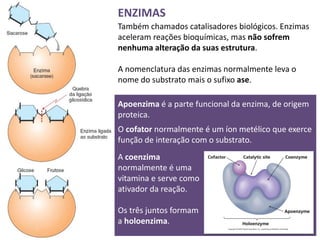ENZIMAS
Também chamados catalisadores biológicos. Enzimas
aceleram reações bioquímicas, mas não sofrem
nenhuma alteração da suas estrutura.

A nomenclatura das enzimas normalmente leva o
nome do substrato mais o sufixo ase.

Apoenzima é a parte funcional da enzima, de origem
proteica.
O cofator normalmente é um íon metélico que exerce
função de interação com o substrato.
A coenzima
normalmente é uma
vitamina e serve como
ativador da reação.

Os três juntos formam
a holoenzima.
 