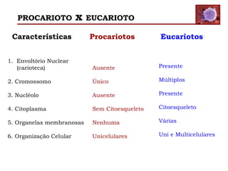Características Procariotos Eucariotos
1. Envoltório Nuclear
(carioteca)
2. Cromossomo
3. Nucléolo
4. Citoplasma
5. Organelas membranosas
6. Organização Celular
Ausente
Único
Ausente
Sem Citoesqueleto
Nenhuma
Unicelulares
Presente
Múltiplos
Presente
Citoesqueleto
Várias
Uni e Multicelulares
PROCARIOTO x EUCARIOTO
 