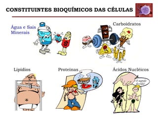 Água e Sais
Minerais
Carboidratos
ProteínasLipídios Ácidos Nucléicos
O segredo
da vida!
CONSTITUINTES BIOQUÍMICOS DAS CÉLULAS
 