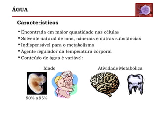 Características
 Encontrada em maior quantidade nas células
 Solvente natural de íons, minerais e outras substâncias
 Indispensável para o metabolismo
 Agente regulador da temperatura corporal
 Conteúdo de água é variável:
90% a 95%
Idade Atividade Metabólica
ÁGUA
 