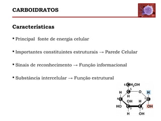 Características
 Principal fonte de energia celular
 Importantes constituintes estruturais → Parede Celular
 Sinais de reconhecimento → Função informacional
 Substância intercelular → Função estrutural
CARBOIDRATOS
 
