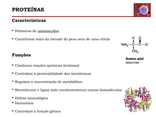 Características
 Polímeros de aminoácidos
 Constituem mais da metade do peso seco de uma célula
Funções
 Catalisam reações químicas (enzimas)
 Controlam a permeabilidade das membranas
 Regulam a concentração de metabólitos
 Reconhecem e ligam (não covalentemente) outras biomoléculas
 Defesa imunológica
 Hormônios
 Controlam a função gênica
PROTEÍNAS
 