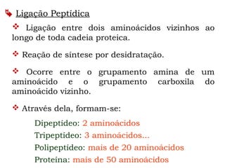  Ligação Peptídica
 Ligação entre dois aminoácidos vizinhos ao
longo de toda cadeia proteica.
 Reação de síntese por desidratação.
 Ocorre entre o grupamento amina de um
aminoácido e o grupamento carboxila do
aminoácido vizinho.
 Através dela, formam-se:
Dipeptídeo: 2 aminoácidos
Tripeptídeo: 3 aminoácidos...
Polipeptídeo: mais de 20 aminoácidos
Proteína: mais de 50 aminoácidos
 