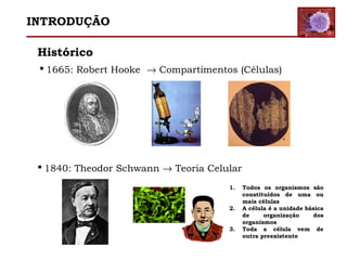 Histórico
 1665: Robert Hooke → Compartimentos (Células)
 1840: Theodor Schwann → Teoria Celular
1. Todos os organismos são
constituídos de uma ou
mais células
2. A célula é a unidade básica
de organização dos
organismos
3. Toda a célula vem de
outra preexistente
INTRODUÇÃO
 