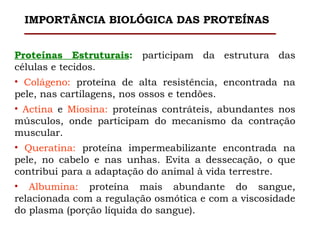 Proteínas Estruturais: participam da estrutura das
células e tecidos.
• Colágeno: proteína de alta resistência, encontrada na
pele, nas cartilagens, nos ossos e tendões.
• Actina e Miosina: proteínas contráteis, abundantes nos
músculos, onde participam do mecanismo da contração
muscular.
• Queratina: proteína impermeabilizante encontrada na
pele, no cabelo e nas unhas. Evita a dessecação, o que
contribui para a adaptação do animal à vida terrestre.
• Albumina: proteína mais abundante do sangue,
relacionada com a regulação osmótica e com a viscosidade
do plasma (porção líquida do sangue).
IMPORTÂNCIA BIOLÓGICA DAS PROTEÍNAS
 