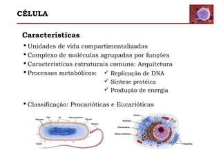 Características
 Unidades de vida compartimentalizadas
 Complexo de moléculas agrupadas por funções
 Características estruturais comuns: Arquitetura
 Processos metabólicos:  Replicação de DNA
 Síntese protéica
 Produção de energia
 Classificação: Procarióticas e Eucarióticas
CÉLULA
 
