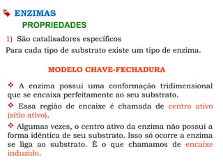  ENZIMAS
PROPRIEDADES
1) São catalisadores específicos
Para cada tipo de substrato existe um tipo de enzima.
MODELO CHAVE-FECHADURA
 A enzima possui uma conformação tridimensional
que se encaixa perfeitamente ao seu substrato.
 Essa região de encaixe é chamada de centro ativo
(sítio ativo).
 Algumas vezes, o centro ativo da enzima não possui a
forma idêntica de seu substrato. Isso só ocorre a enzima
se liga ao substrato. É o que chamamos de encaixe
induzido.
 