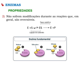 ENZIMAS
PROPRIEDADES
2) Não sofrem modificações durante as reações que, em
geral, são reversíveis.
 