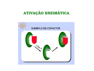 ATIVAÇÃO ENZIMÁTICA
 