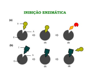 INIBIÇÃO ENZIMÁTICA
 
