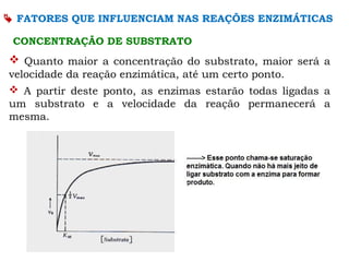 CONCENTRAÇÃO DE SUBSTRATO
 Quanto maior a concentração do substrato, maior será a
velocidade da reação enzimática, até um certo ponto.
 A partir deste ponto, as enzimas estarão todas ligadas a
um substrato e a velocidade da reação permanecerá a
mesma.
 FATORES QUE INFLUENCIAM NAS REAÇÕES ENZIMÁTICAS
 