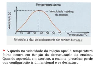  A queda na velocidade da reação após a temperatura
ótima ocorre em função da desnaturação da enzima.
Quando aquecida em excesso, a enzima (proteína) perde
sua configuração tridimensional e se desnatura.
 