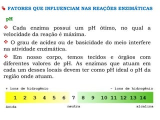  Cada enzima possui um pH ótimo, no qual a
velocidade da reação é máxima.
 O grau de acidez ou de basicidade do meio interfere
na atividade enzimática.
 Em nosso corpo, temos tecidos e órgãos com
diferentes valores de pH. As enzimas que atuam em
cada um desses locais devem ter como pH ideal o pH da
região onde atuam.
pH
 FATORES QUE INFLUENCIAM NAS REAÇÕES ENZIMÁTICAS
 