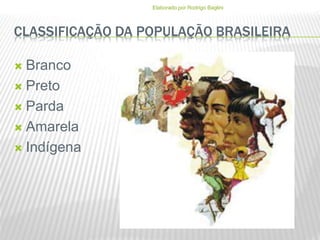 CLASSIFICAÇÃO DA POPULAÇÃO BRASILEIRA
 Branco
 Preto
 Parda
 Amarela
 Indígena
Elaborado por Rodrigo Baglini
 