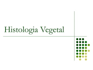 Histologia Vegetal
 