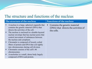 Composite Cell lecture to facilitate learning fir 1st year students. | PPTX