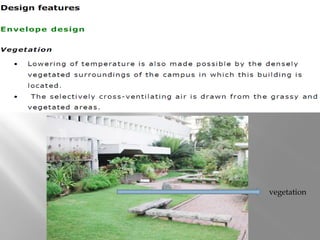 vegetation
 