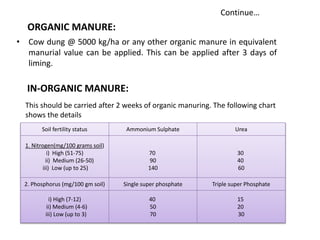 • Cow dung @ 5000 kg/ha or any other organic manure in equivalent
manurial value can be applied. This can be applied after 3 days of
liming.
ORGANIC MANURE:
IN-ORGANIC MANURE:
Continue…
This should be carried after 2 weeks of organic manuring. The following chart
shows the details
Soil fertility status Ammonium Sulphate Urea
1. Nitrogen(mg/100 grams soil)
i) High (51-75)
ii) Medium (26-50)
iii) Low (up to 25)
70
90
140
30
40
60
2. Phosphorus (mg/100 gm soil) Single super phosphate Triple super Phosphate
i) High (7-12)
ii) Medium (4-6)
iii) Low (up to 3)
40
50
70
15
20
30
 