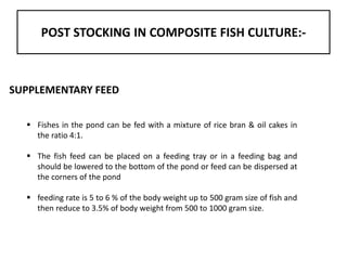 POST STOCKING IN COMPOSITE FISH CULTURE:-
SUPPLEMENTARY FEED
 Fishes in the pond can be fed with a mixture of rice bran & oil cakes in
the ratio 4:1.
 The fish feed can be placed on a feeding tray or in a feeding bag and
should be lowered to the bottom of the pond or feed can be dispersed at
the corners of the pond
 feeding rate is 5 to 6 % of the body weight up to 500 gram size of fish and
then reduce to 3.5% of body weight from 500 to 1000 gram size.
 