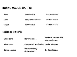 Rohu Omnivorous Column feeder
Catla Zoo plankton feeder Surface feeder
Mrigal Omnivorous Bottom feeder
INDIAN MAJOR CARPS:
Grass carp Herbivorous
Surface, column and
marginal areas
Silver carp Phytoplankton feeder Surface feeder
Common carp
Detritivorous/
Omnivorous
Bottom feeder
EXOTIC CARPS:
 