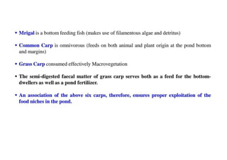 Composite fish culture ppt.pptx