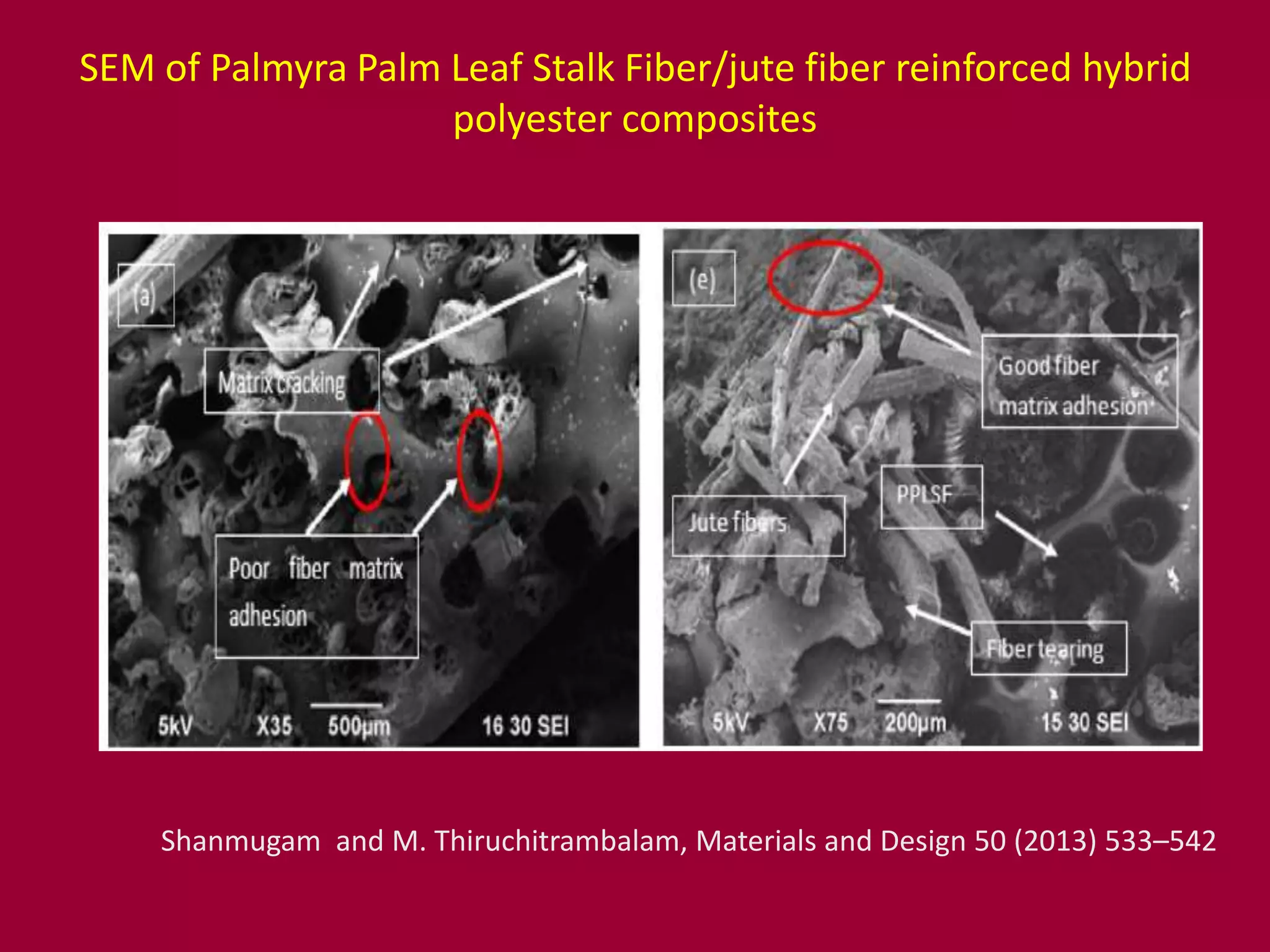 SEM of Palmyra Palm Leaf Stalk Fiber/jute fiber reinforced hybrid
polyester composites
Shanmugam and M. Thiruchitrambalam, Materials and Design 50 (2013) 533–542
 