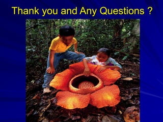 Thank you and Any Questions ?
 