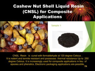 Cashew Nut Shell Liquid Resin
(CNSL) for Composite
Applications
75
CNSL Resin is cured with formaldehyde at 120 degree Celsius .
It is rodent and termite resistant and possesses thermal resistance Up to 250
degree Celsius. It is increasingly used for composite applications in lieu of
epoxies and phenolics. Electronic packaging applications are possible.
 