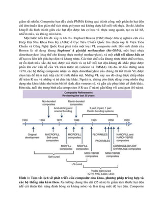 composite nha khoa.pdf