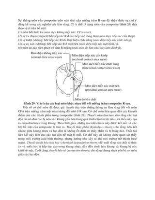 composite nha khoa.pdf