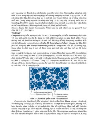 composite nha khoa.pdf