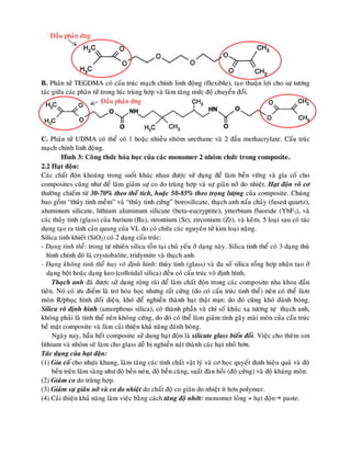 composite nha khoa.pdf