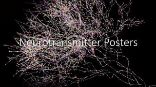 Neurotransmitter Posters
 