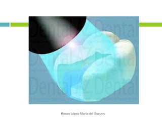 Rosas López María del Socorro
 