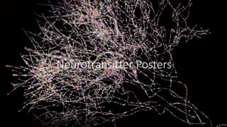 Neurotransitter Posters
 