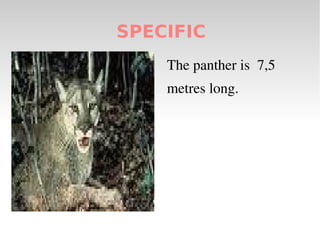 the African jungle and  Florida. 