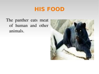 SPECIFIC The panther is  7,5  
