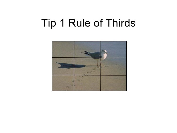 Composition, some basic rules of photography