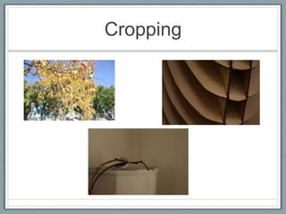 Cropping
 