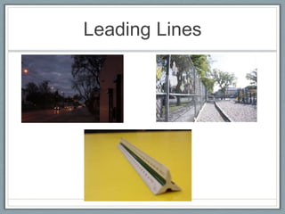 Leading Lines
 
