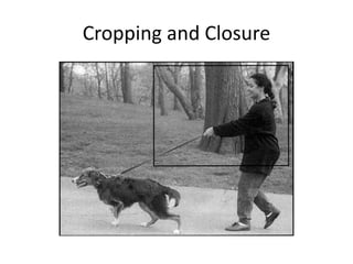 Cropping and Closure
 