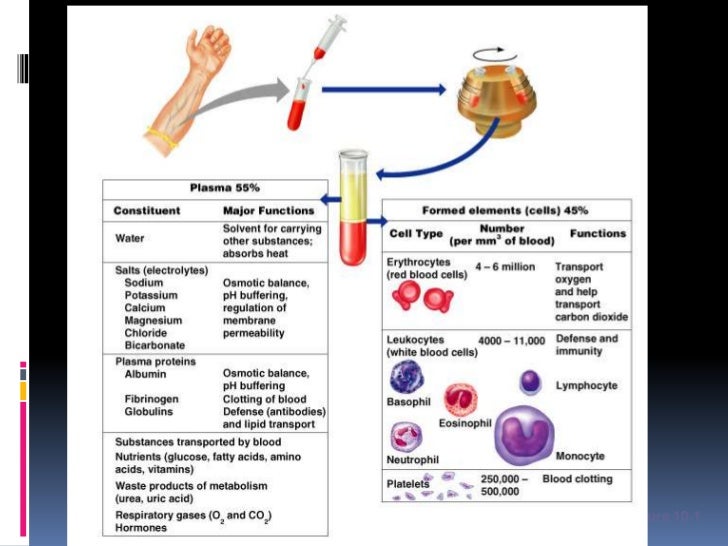 Image Result For Solutesa Image Result For Solutesa