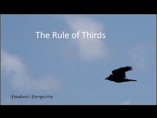 The Rule of Thirds
 