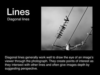 Lines
Diagonal lines

Diagonal lines generally work well to draw the eye of an image’s
viewer through the photograph. They create points of interest as
they intersect with other lines and often give images depth by
suggesting perspective.

 