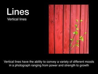 Lines
Vertical lines

Vertical lines have the ability to convey a variety of different moods
in a photograph ranging from power and strength to growth

 