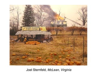 Joel Sternfeld, McLean, Virginia
 