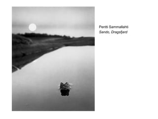 Pentti Sammallahti
Sando, Dragsfjard
 
