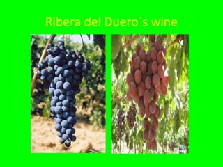 Ribera del Duero´s wine